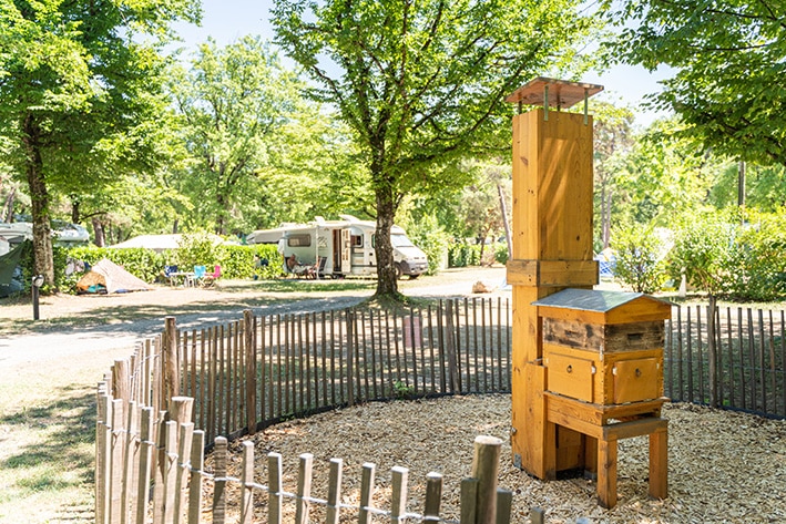 Ruche pédagogique de notre camping